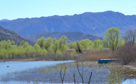 6_donors_skadar-lake_virpazar-2-greenhome