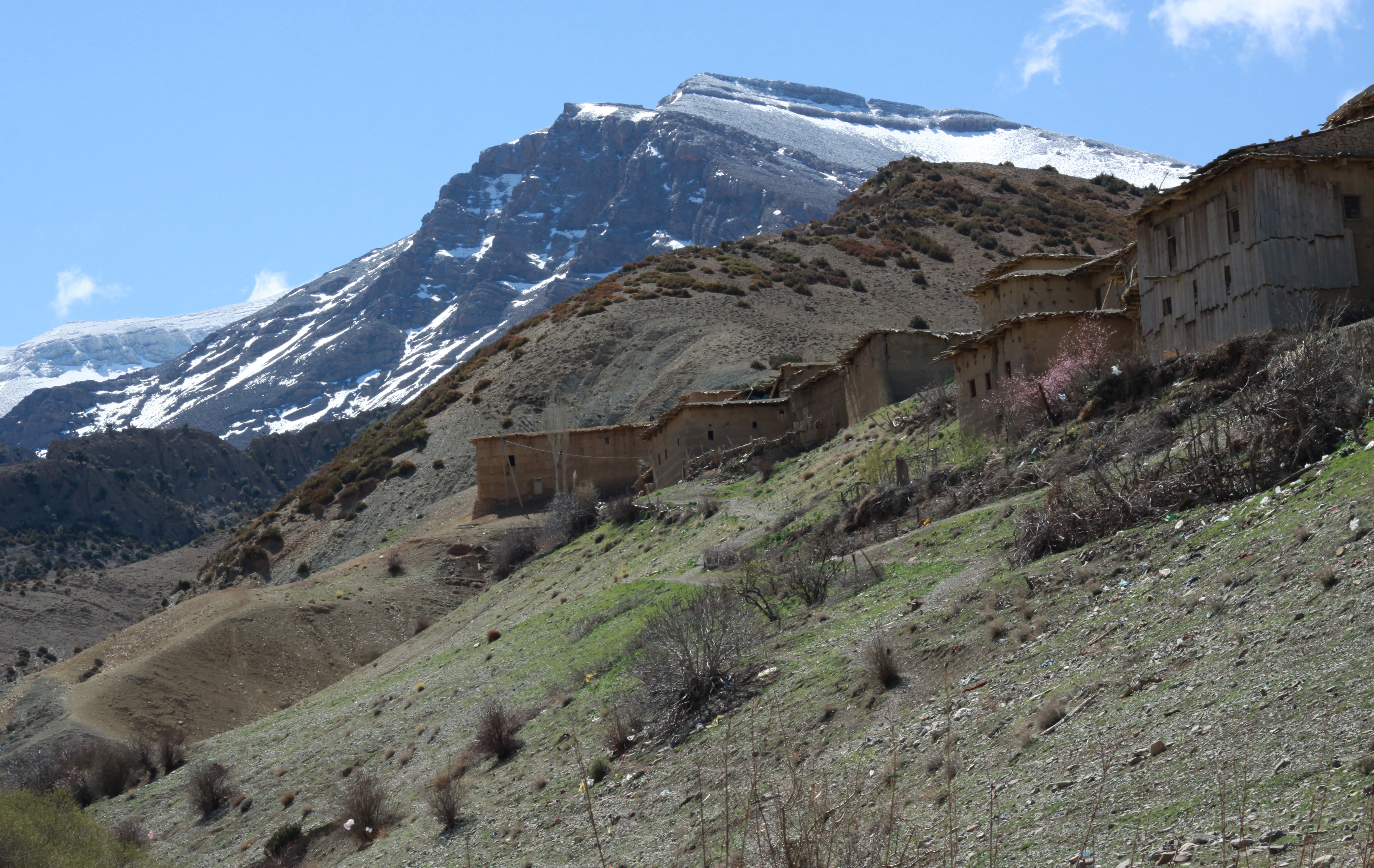 Elaboration of a beekeeping development project in the Bou Naceur IPA (Morocco)