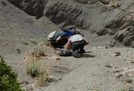 Field work and knowledge acquisition on endemic plants in the High Atlas (Morocco)